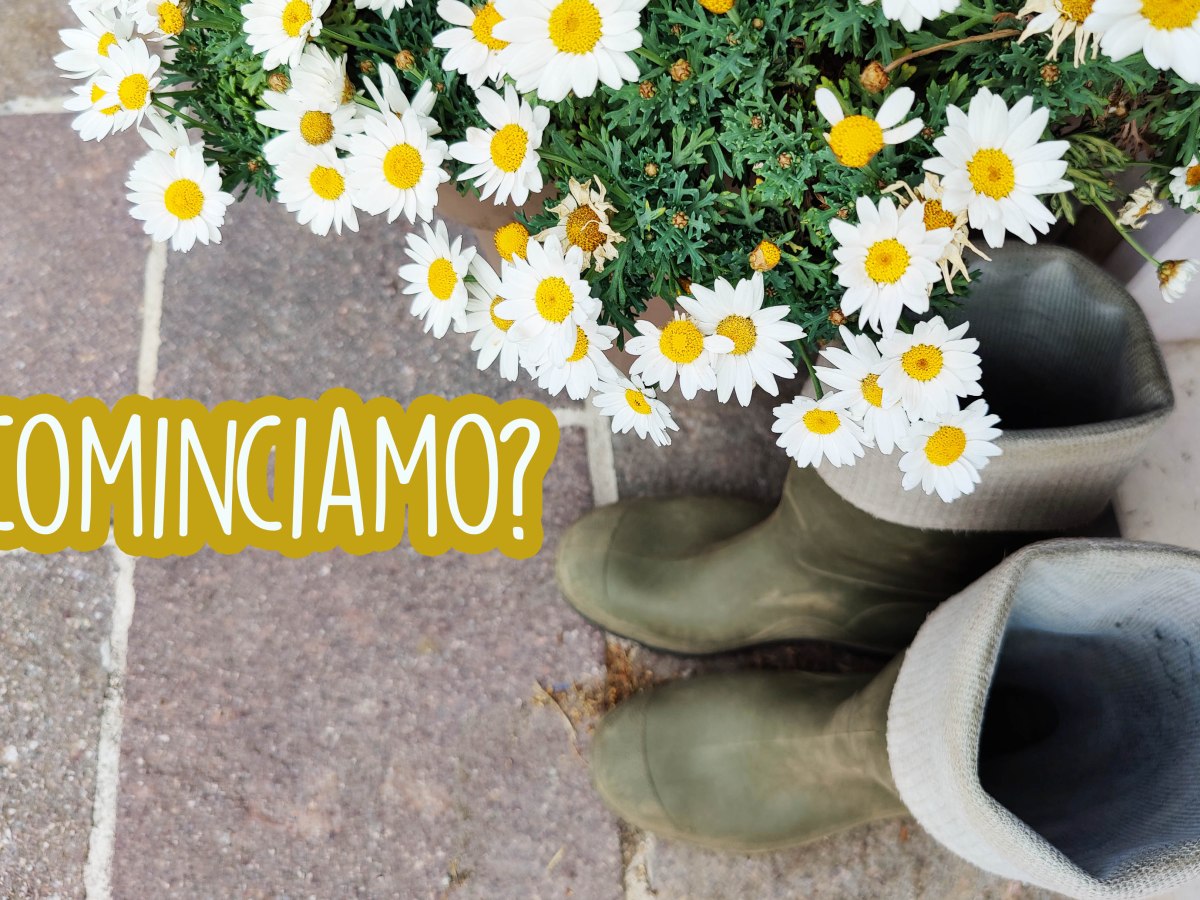 COSA HO FATTO NELL’ORTO?