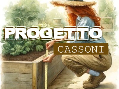 ORTO RIALZATO FAI DA&nbsp;TE