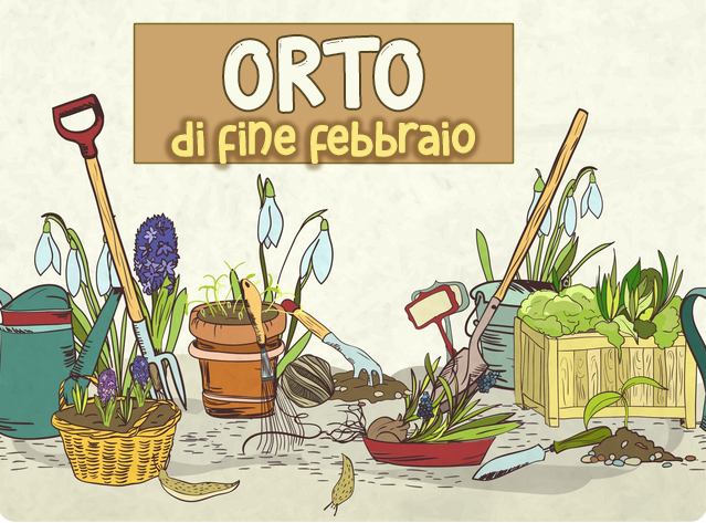 vegetable garden at the end of February